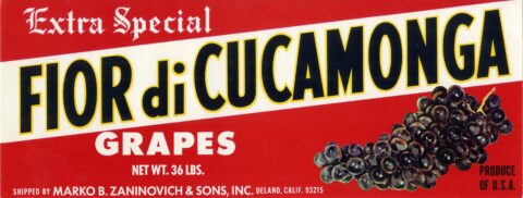 Fior di Cucamonga